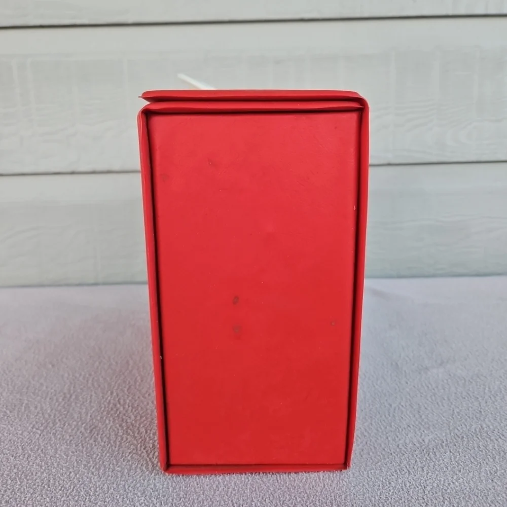1986 The Saurus Gang Vinyl Storage Case Box Vintage Cliff Galbraith Swim Club